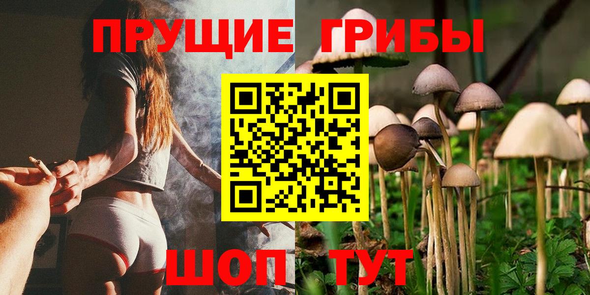 Псилоцибиновые грибы MAGIC MUSHROOMS Отрадный