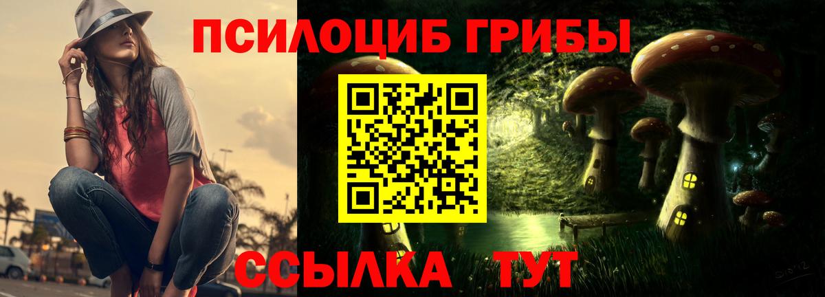 Отрадный  Псилоцибиновые грибы Psilocybe  Псилоцибиновые грибы ЛСД  Вход с VPN 